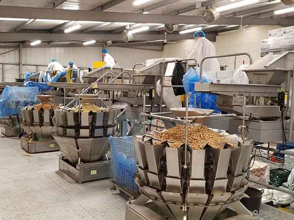 全自動好色先生视频下载智能化聯動生產