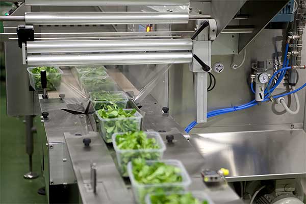 瓜果蔬菜全自動脫水蔬菜好色先生视频下载
