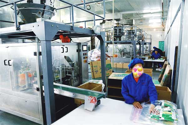 給袋式顆粒全自動好色先生视频下载廠家